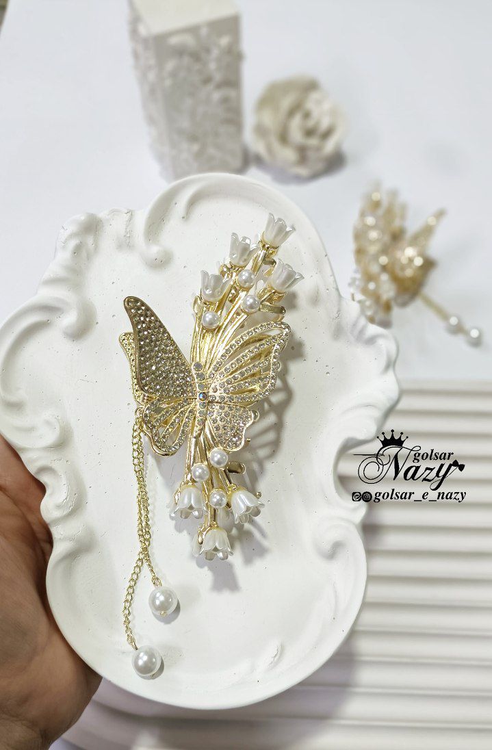 کلیپس مجلسی وارداتی